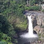 Ubud Waterfall Swing And Spring Temple Private Guided Tour - Final Thoughts