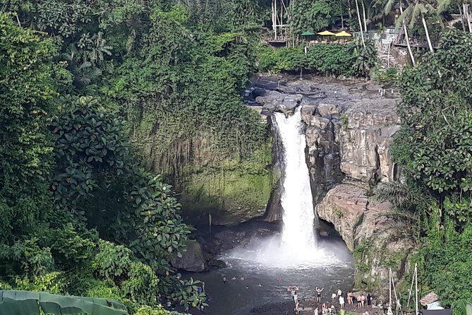 Ubud Waterfall Swing And Spring Temple Private Guided Tour - Final Thoughts