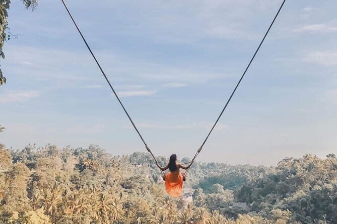 Ubud Waterfalls, Rice Terrace and Jungle Swing Tour - The Thrill of Bali’s Jungle Swing