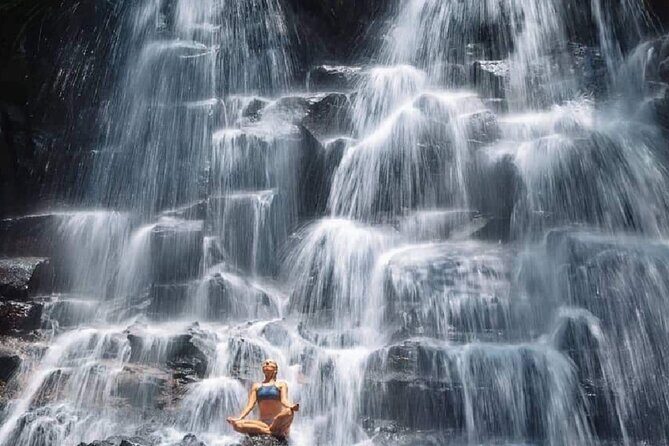 Ubud Waterfalls, Rice Terrace & Jungle Swing - Private Tour - Why This Tour Is a Great Choice