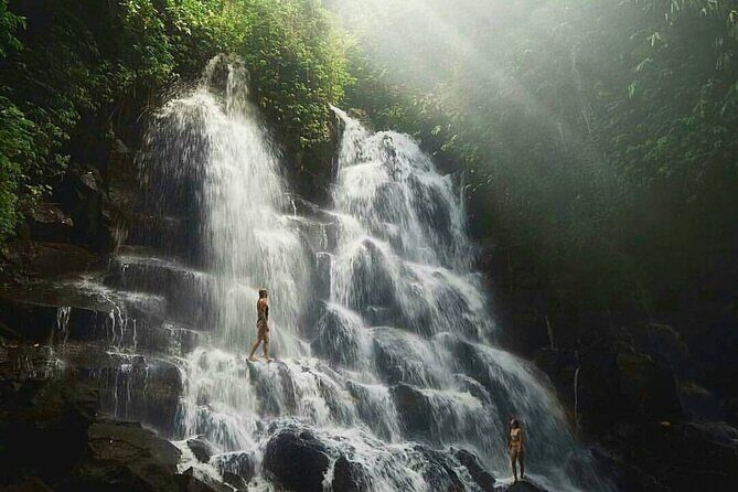 Ubud Waterfalls, Temple and Rice Terrace - Private Tour - Who Should Book This Tour?