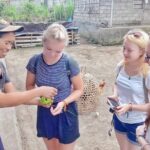 Ubud Wonderful Afternoon Downhill Cycling Tour - Practical Details and Value
