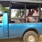 Udawalawa National Park half day Safari - Who Should Consider This Safari?