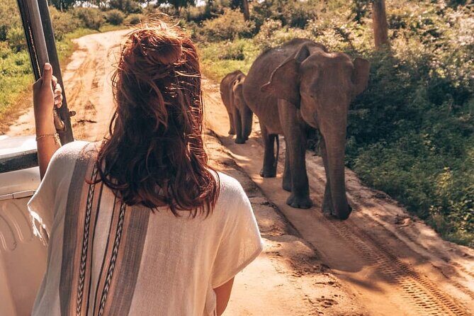 Udawalawa Safari Drive From Galle, Weligama, Mirissa & Dickwella - Is It Worth the Price?