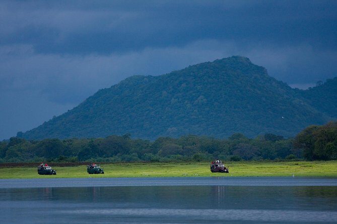 Udawalawe National Park Safari from Bentota - Practical Tips and Considerations