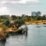Udawalawe National Park Safari from Galle - Why This Tour Offers Great Value