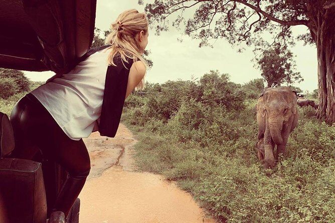 Udawalawe National Park Safari | From Mirissa | Galle | Weligama - Real Experiences from Travelers