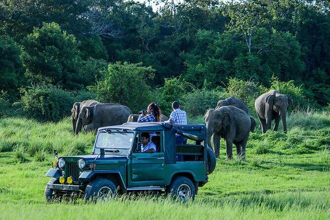 Udawalawe Safari Day Trip from Ella/Tangalle/Dikwella/Hambantota - What We Think Works Well