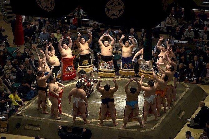 Ultimate Sumo Tournament: Tokyo, Osaka, Nagoya, Fukuoka - The Verdict: Who Should Book This Tour?