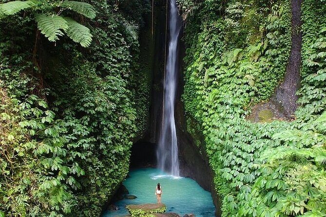 Ulun Danu Temple, Handara Gate, Leke-Leke Waterfall Day Tour - Who Is This Tour Best Suited For?
