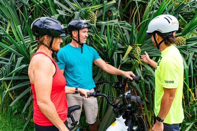 Umauma Falls eBike Tour in Hakalau - Final Thoughts