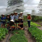 Unique farm to Table cooking class in Saigon - What We Love About This Experience