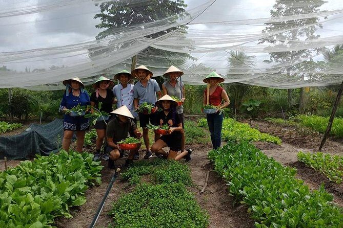 Unique farm to Table cooking class in Saigon - What We Love About This Experience