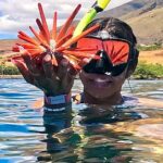 Unlimited Guided Snorkeling Tour for Beginners Plus - The Itinerary Breakdown