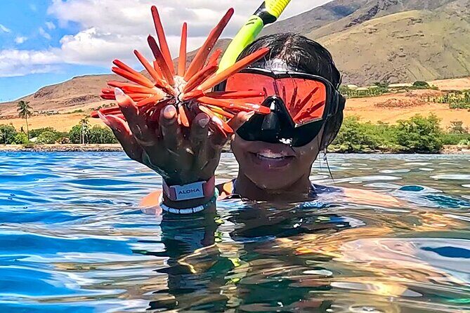 Unlimited Guided Snorkeling Tour for Beginners Plus - The Itinerary Breakdown