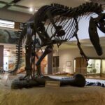 Utah Mighty 5 National Parks: Small Group 5-Day Tour - What Do Travelers Say?