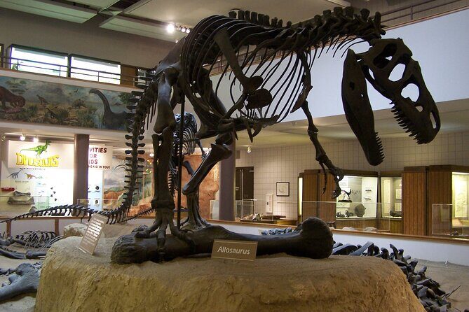 Utah Mighty 5 National Parks: Small Group 5-Day Tour - What Do Travelers Say?