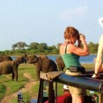 VALUE PACK! One Day Safari Tour to Yala and Udawalawa Parks - The Itinerary Breakdown
