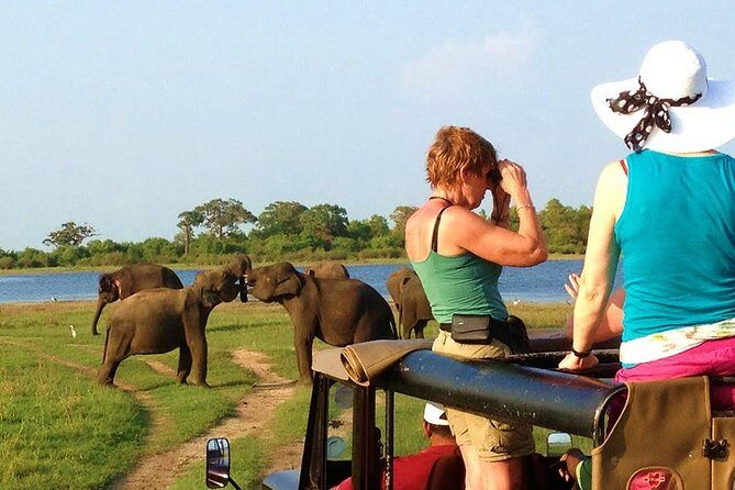 VALUE PACK! One Day Safari Tour to Yala and Udawalawa Parks - The Itinerary Breakdown