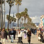 Venice California: Half Day Tour in Open Air Bus - Why This Tour Works for Travelers