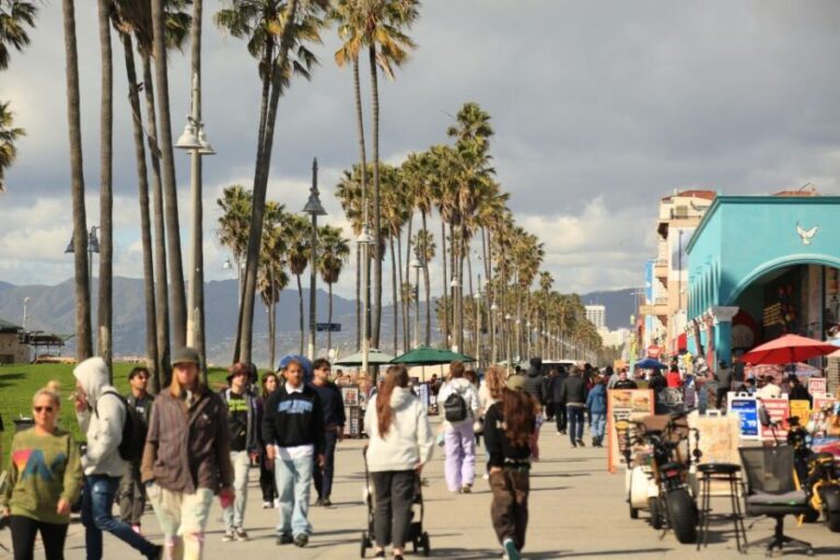 Venice California: Half Day Tour in Open Air Bus - Why This Tour Works for Travelers