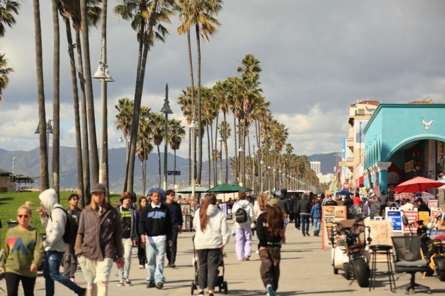 Venice California: Half Day Tour in Open Air Bus - Why This Tour Works for Travelers