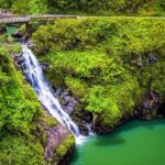 Viator Exclusive: Maui Tropical Rainforest Small Group Tour - The Road to Hana: A Lush Drive