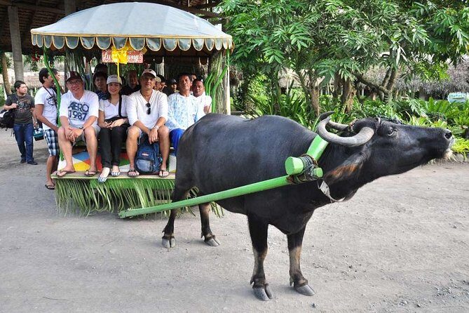 VILLA ESCUDERO DAY TOUR with Carabao Cart Ride and Bamboo from Manila - The Practicalities: What to Expect