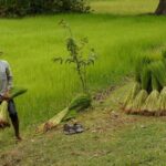 Village Life Tour from Siem Reap - Who Will Love This Tour?