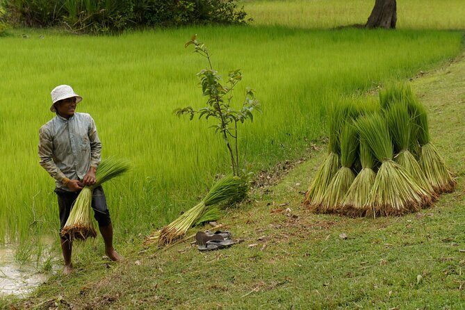 Village Life Tour from Siem Reap - Who Will Love This Tour?