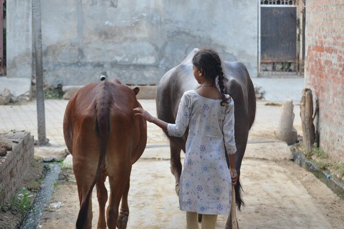 Village Snapshot - Pure and simple - Who Should Consider This Tour