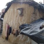 Village Tour - An In-Depth Look at the Village Tour Experience