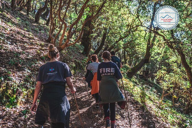Village Tours Around Mussoorie - A Full day Hike to Kanda Jhak - The Logistics: What You Need to Know