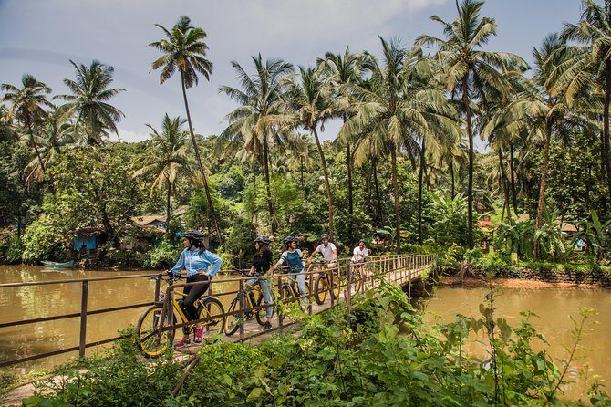 Village Vibes: Cansaulim Coastal E-Bike & Japanese Tea Tour - An In-Depth Look at the Tour Experience