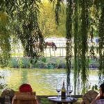 Vineyard Wine Tasting Tour - Vineyard Wine Tasting Tour in Scottsdale: An In-Depth Look