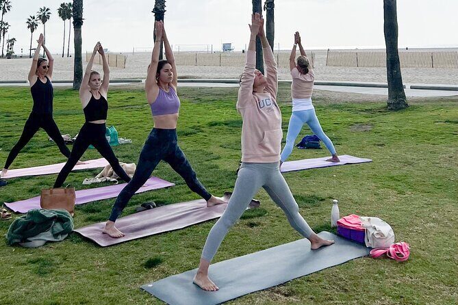 Vinyasa Yoga Class on the Beach in Santa Monica in French - Who Would Love This Experience?