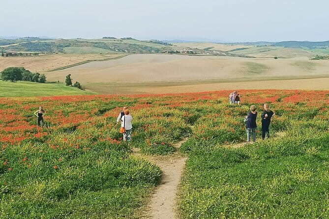 VIP Brunello Montalcino, Montepulciano & Val d'Orcia with Lunch - Who Will Love This Tour?