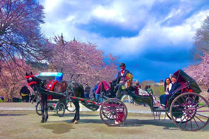 VIP Central Park Champagne Tour with Photos(50 min)~Skip the line - The Itinerary and Stops