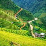 VIP LUXURY Sapa 2D1N -TRANSFER BY LUX LIMOUSINE CAR (Stay at 5* hotel) - What Travelers Keep Coming Back for