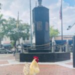 VIP Walking Tour of Little Havana - Who Will Love This Tour?