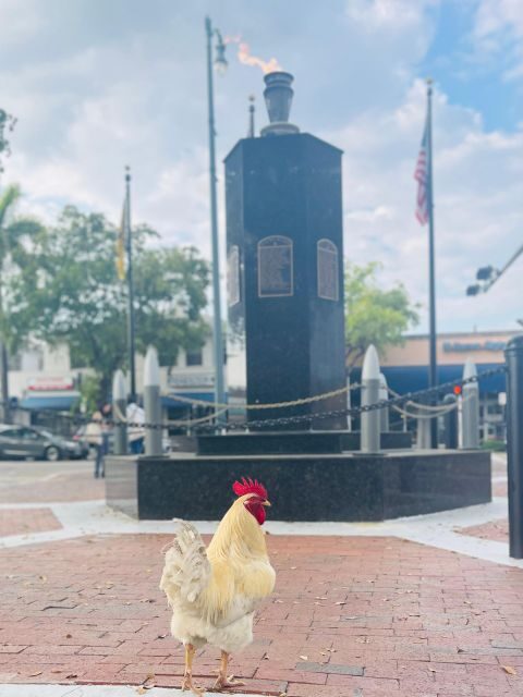 VIP Walking Tour of Little Havana - Who Will Love This Tour?