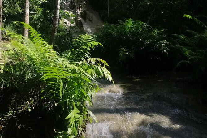 Visit Dantewada(Angel Land), Blue Temple, and Sticky Waterfall - Pricing and Value