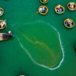 Visit Local Market, Coconut Basket Boat Ride and Cooking Class - Who Will Love This Tour?