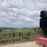 Visit Of The Chianti Classico And The Tuscan Countryside - Authentic Experiences Based on Real Reviews