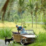 Visit Rice terrace, Beratan temple, waterfall by Vantage Volkswagen 181 - Breakdown of the Day’s Itinerary