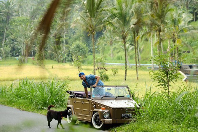 Visit Rice terrace, Beratan temple, waterfall by Vantage Volkswagen 181 - Breakdown of the Day’s Itinerary