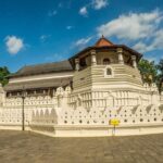 Visit sri Lanka 7 Days Round Trip - Practical Aspects and Value