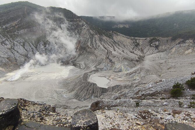 Volcano, Rice Field, Local Coffee, Tea factory, & Hot Spring Tour - Who Will Love This Tour?