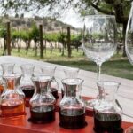 Voted Best in Sedona-Tastings Included! EXPRESS PRIVATE WINE TOUR - Flexible Start Times and Private Format
