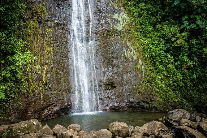 Waikiki Electric Bike Self Guided Tour- Manoa Falls Bike and Hike - Authentic Insights from Reviewers